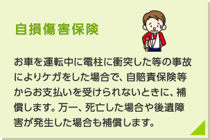 自損傷害保険：お車を運転中に電柱に衝突した等の事故によりケガをした場合で、自賠責保険等からお支払いを受けられないときに、補償します。万一、死亡した場合や後遺障害が生じた場合も補償します。